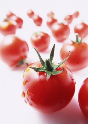 2025年最新！六本木のキャバクラ完全ガイド?選び方と楽しみ方のポイント